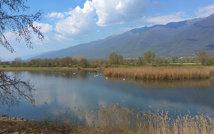 Λίμνη Κερκίνη, photo by Kyriakos-apollon