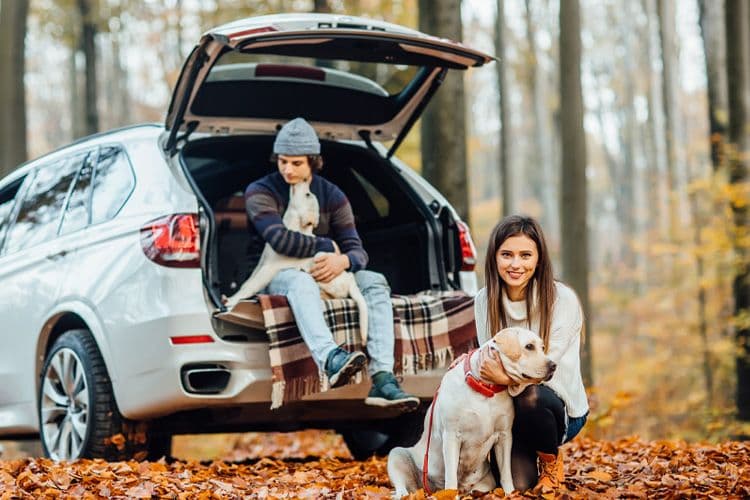 An image uploaded to Strapi called AUTUMN_GETAWAYS_750x500