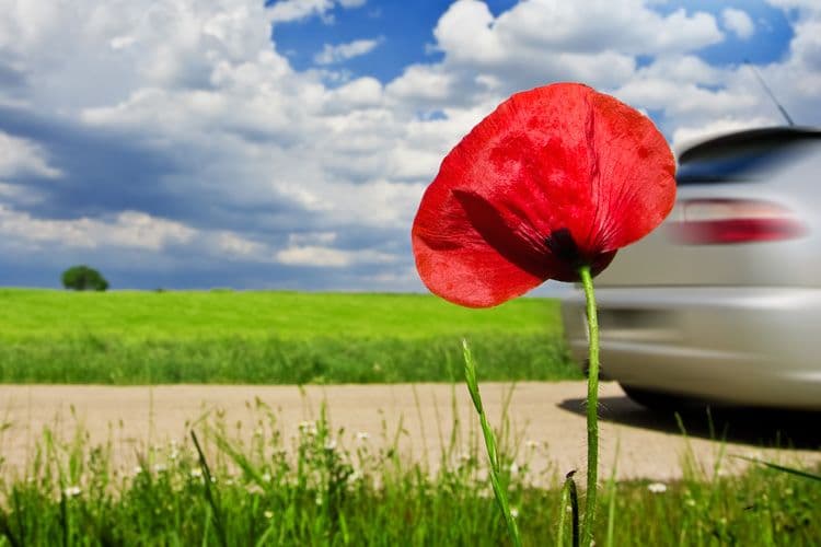 An image uploaded to Strapi called Road_Trip_Destinations_for_1st_of_May_750x500