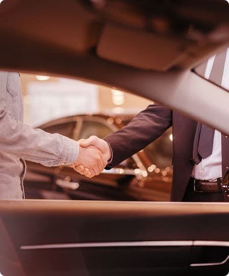 An image uploaded to Strapi called mobility-partner