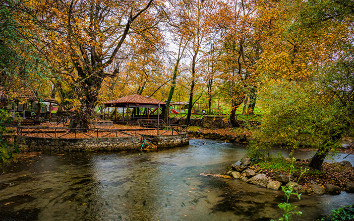 Relax in a verdant landscape in Naoussa!