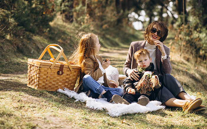 Picnic is an ideal option for sping 
