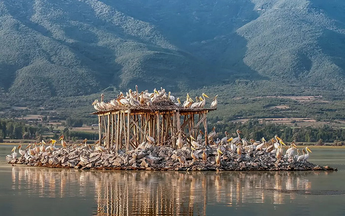 Lake Kerkini in Pieria!