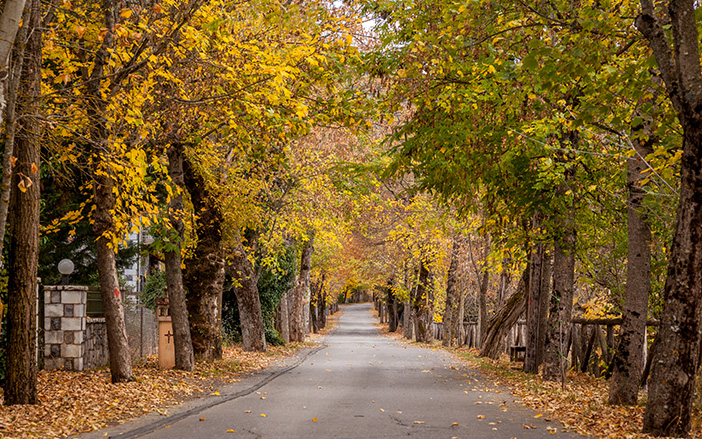 The autumn colors in Vytina
