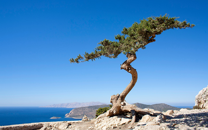 The natural beauty of Rhodes